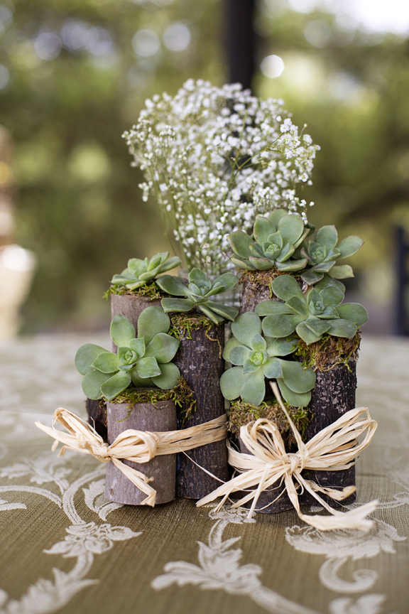 ​succulents on tiny rustic logs